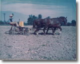 Art Bauer planting corn in 1946